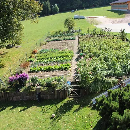 Ferienbauernhof-holops Appartement *
